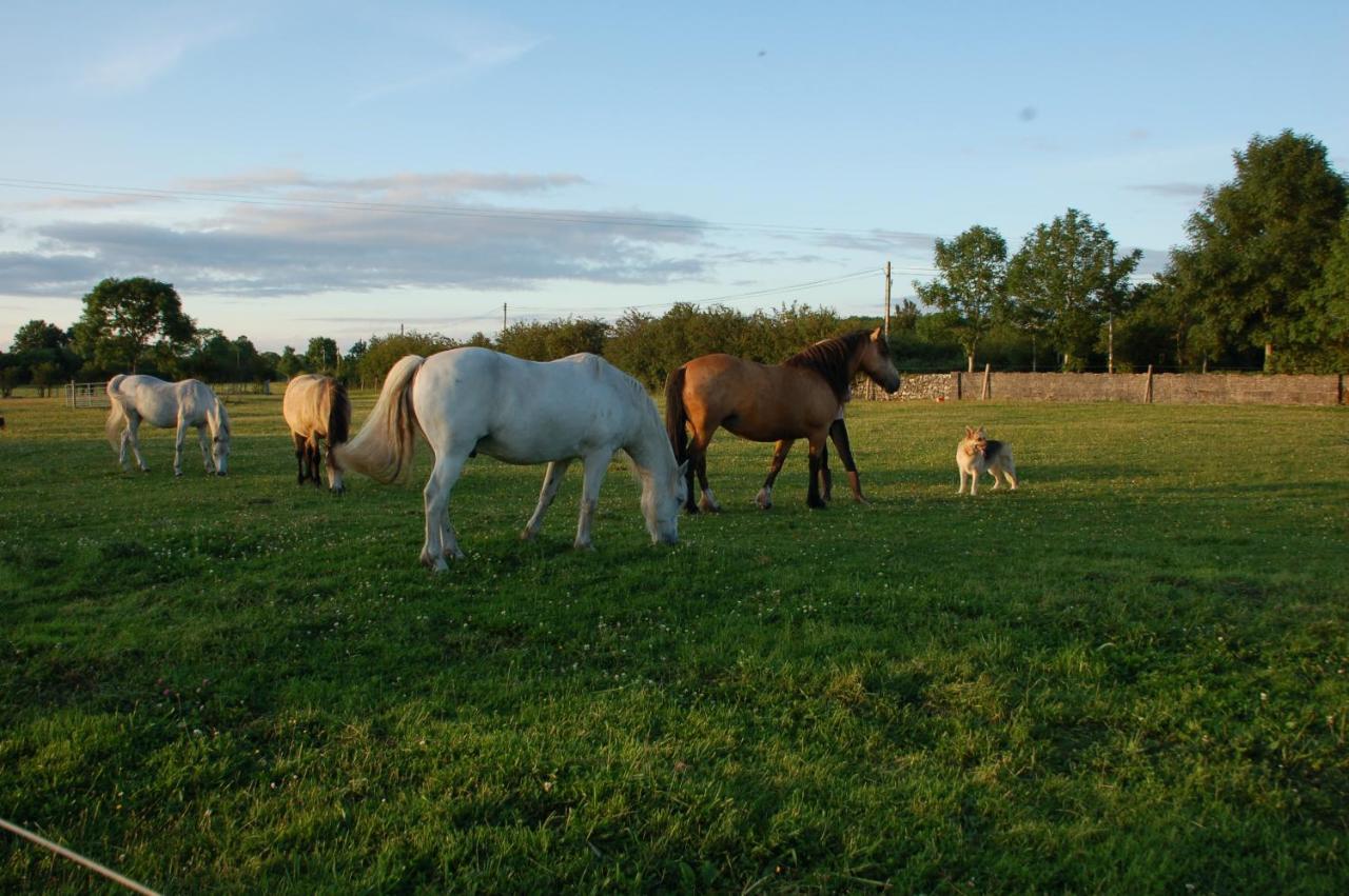 The Little Flock Farm Bed & Breakfast Cloonmore